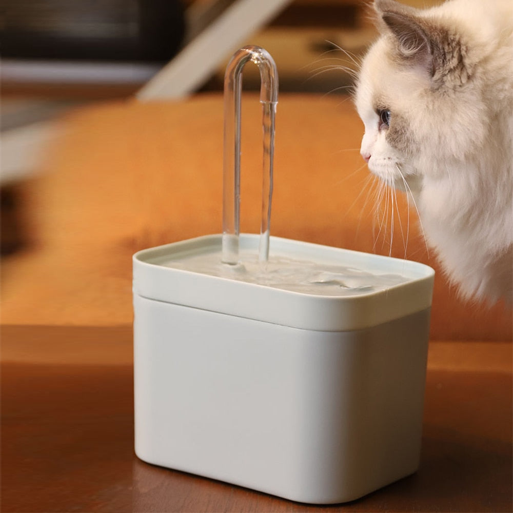 Fontaine à eau pour chat, filtre automatique USB électrique